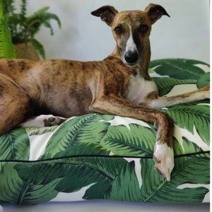 Botanical Palm Leaf Dog Bed COVER with Black Pipin